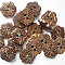 Lovely Flowers 2-hole Basic Sewing Button, Coconut Button, Camel, 15mm in diameter