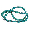 Natural Turquoise Beads Strands G344-8-1