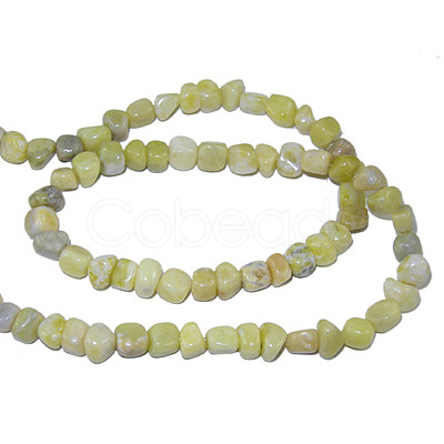 Natural Gemstone Beads Strands G365-6-1