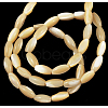 Natural Shell Beads Strands PBB409Y-2-2