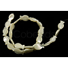 Natural White Shell Beads Strands SSHEL-18X10-2