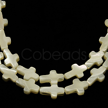 Natural White Shell Beads Strands SSHEL-F0812C