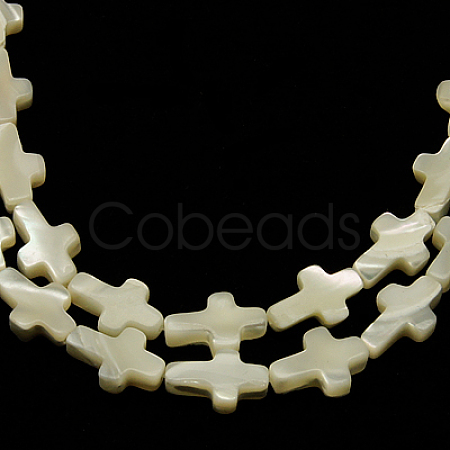 Natural White Shell Beads Strands SSHEL-F0812C-1