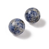 Natural Blue Spot Jasper No Hole Sphere Beads G-K353-04D-14-2