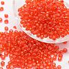 6/0 Transparent Glass Round Seed Beads X-SEED-J010-F6-29B-1