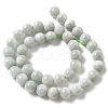 Natural Myanmar Jadeite Beads Strands G-L595-C01-03-3