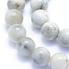 Natural Grey Moonstone Beads Strands G-I279-C01-10mm-3