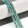 Natural Amazonite Beads Strands G-H064-C01-01-2