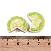 Opaque Resin Imitation Food Decoden Cabochons CRES-I032-02C-3