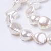 Shell Pearl Beads Strands BSHE-L035-F01-1