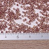 MIYUKI Delica Beads X-SEED-J020-DB0913-4