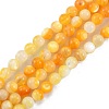 Natural Golden Yellow Shell Beads Strands SSHEL-G024-01A-1