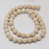 Natural Fossil Beads Strands X-G-D694-10mm-1