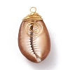 Natural Cowrie Shell Wire Wrapped Pendants PALLOY-JF00571-01-2