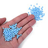 6/0 Czech Opaque Glass Seed Beads SEED-N004-003D-20-5