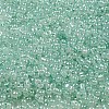 Ceylon Glass Seed Beads SEED-K009-02B-26-3