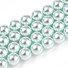 Glass Pearl Beads Strands HY-G002-01E-12-1