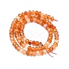 Natural Carnelian Beads Strands G-F715-093-2