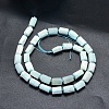 Natural Larimar Beads Strands G-O170-45-2