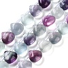 Natural Fluorite Beads Strands G-G116-A01-01-1