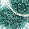 8/0 Transparent Glass Round Seed Beads SEED-J010-F8-39-1