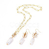 Paperclip Chains Necklace & Dangle Earring Jewelry Sets SJEW-JS01099-1