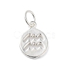 925 Sterling Silver Constellations Charms STER-M118-01E-1