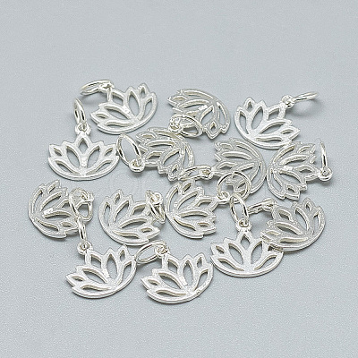 925 Sterling Silver Charms STER-T002-277S-1