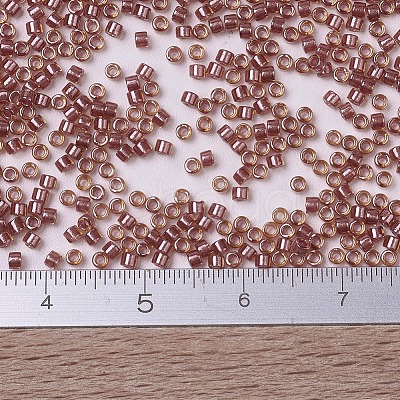 MIYUKI Delica Beads X-SEED-J020-DB0913-1