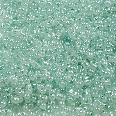 Ceylon Glass Seed Beads SEED-K009-02B-26-1