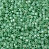 TOHO Round Seed Beads SEED-JPTR08-PF2103-2