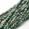 Natural African Turquoise(Jasper) Nuggets Beads Strands G-J335-43-1