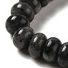 Natural Larvikite Beads Strands G-G102-C03-01-4