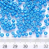 12/0 Baking Paint Glass Round Seed Beads SEED-S036-01A-11-3