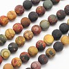 Frosted Round Natural Picture Jasper Beads Strands G-N0166-48-10mm-1