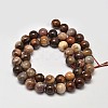 Natural Petrified Wood Round Bead Strands G-F266-08-8mm-2