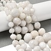Natural White Moonstone Beads Strands G-Q169-E08-01-2
