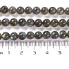 Grade AA Natural Gemstone Labradorite Round Beads Strands G-E251-33-6mm-01-3