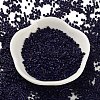 Baking Paint Glass Seed Beads SEED-S042-05B-79-2