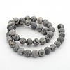 Frosted Natural Map Stone/Picasso Stone/Picasso Jasper Round Bead Strands X-G-M272-08-10mm-2