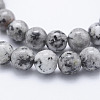 Natural Larvikite Beads Strands X-G-E443-A17-3
