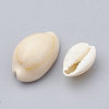 Cowrie Shell Beads X-SSHEL-T004-08-2