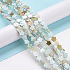 Natural Freshwater Shell Beads Strands SHEL-H002-03-4