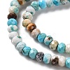 Natural Howlite Beads Strands G-H025-03B-05-4