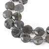 Natural Labradorite Beads Strands G-C116-A46-01-4