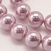 Round Shell Pearl Bead Strands BSHE-L011-8mm-A001-4