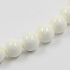 Natural White Shell Beads Strands X-BSHE-E002-02-10mm-2