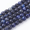 Natural Lapis Lazuli Beads Strands G-G059-8mm-1