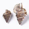 Natural Spiral Shell Beads SSHEL-S258-88-3
