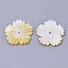 Natural Yellow Shell Beads SSHEL-T012-03-2